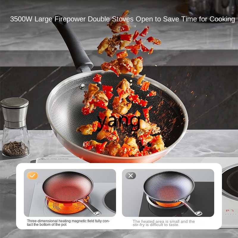 Dwupalnikowa, wbudowana, domow – Induction Cooker recenzja i cena
